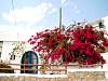 14_maison blanche et bougainvillis.JPG